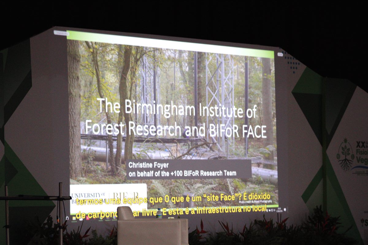 Telão exibindo um slide em inglês do Birmingham Institute of Forest Research, com a legenda em português em amarelo no rodapé.